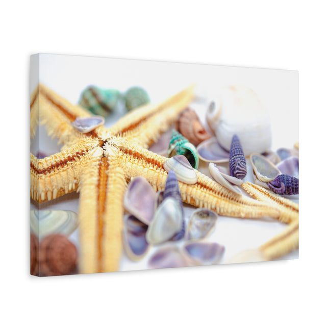 Impression sur toile décorative côtière - Étoiles de mer et coquillages - Décoration murale de plage