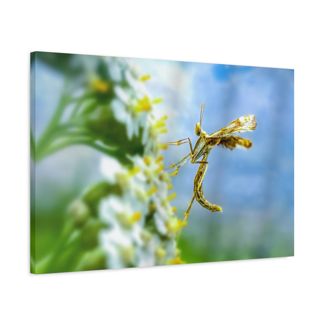Toile d'art sur les insectes : une décoration murale unique pour la maison 