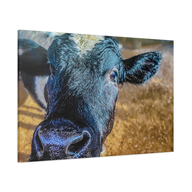 Toile murale - Portrait de vache réaliste 