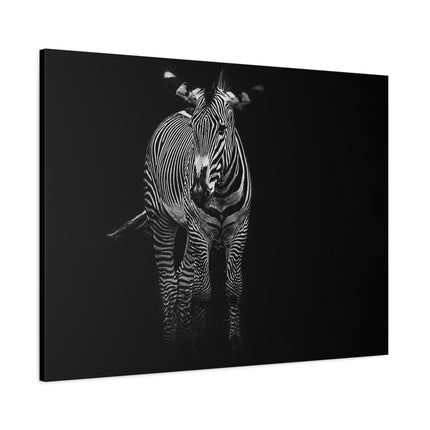Toile murale zèbre | Décoration moderne en noir et blanc pour les amoureux des animaux