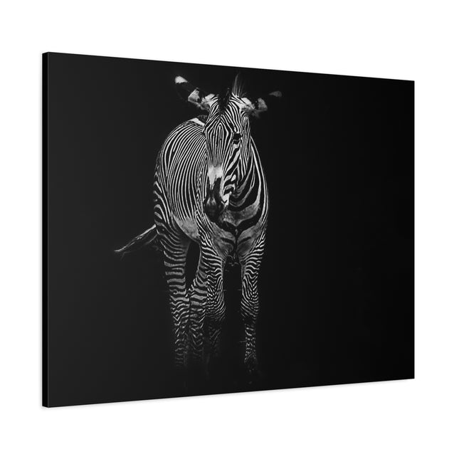 Toile murale zèbre | Décoration moderne en noir et blanc pour les amoureux des animaux