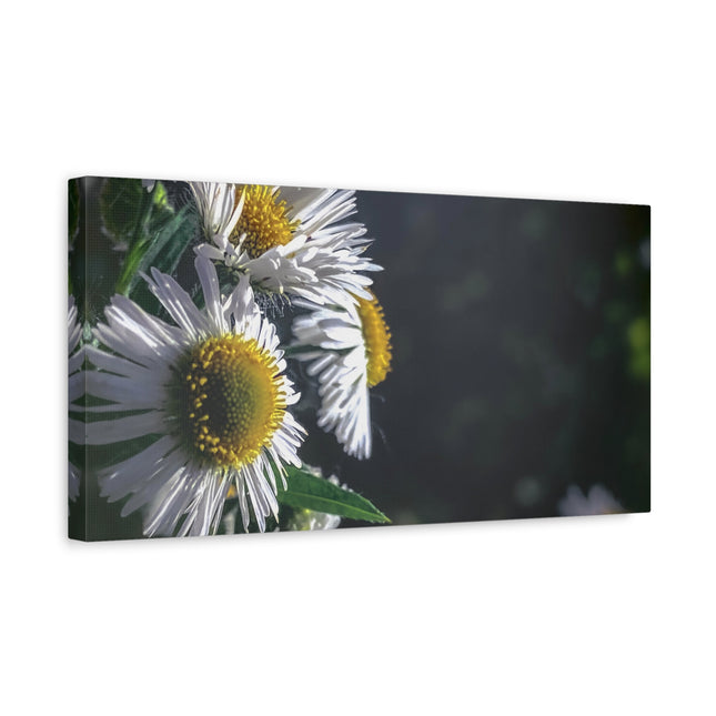 Décoration murale florale - Toile mate tendue avec motif marguerites
