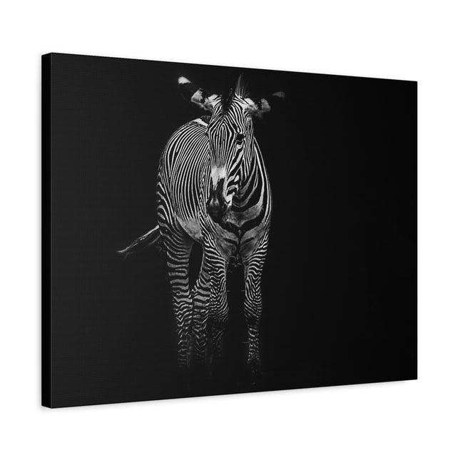 Toile murale zèbre | Décoration moderne en noir et blanc pour les amoureux des animaux