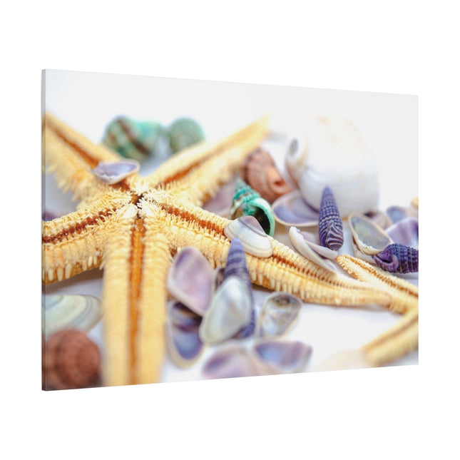 Impression sur toile décorative côtière - Étoiles de mer et coquillages - Décoration murale de plage