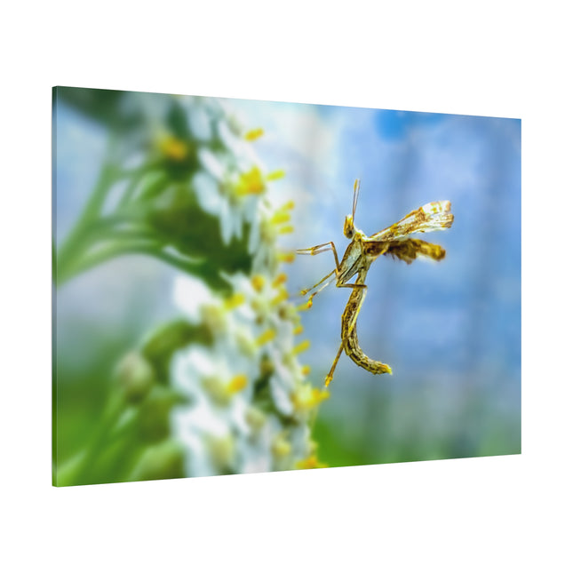 Toile d'art sur les insectes : une décoration murale unique pour la maison 