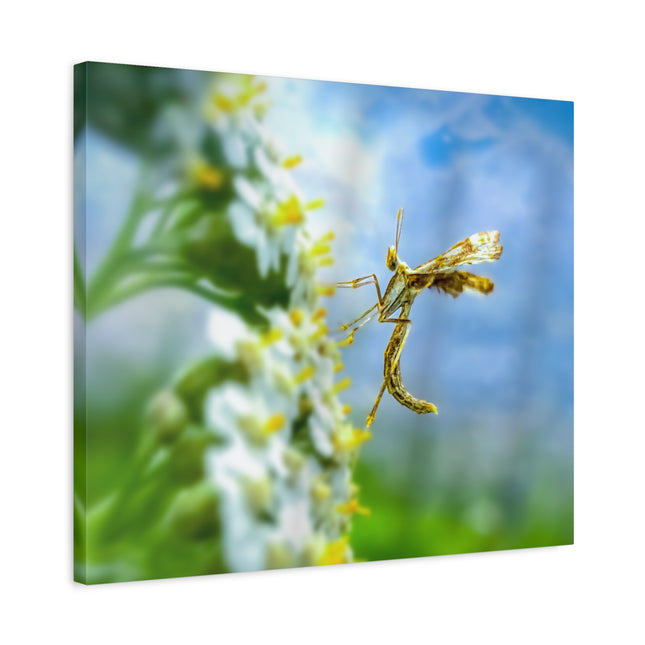Toile d'art sur les insectes : une décoration murale unique pour la maison 