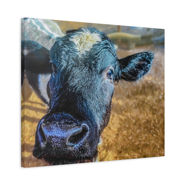 Toile murale - Portrait de vache réaliste 