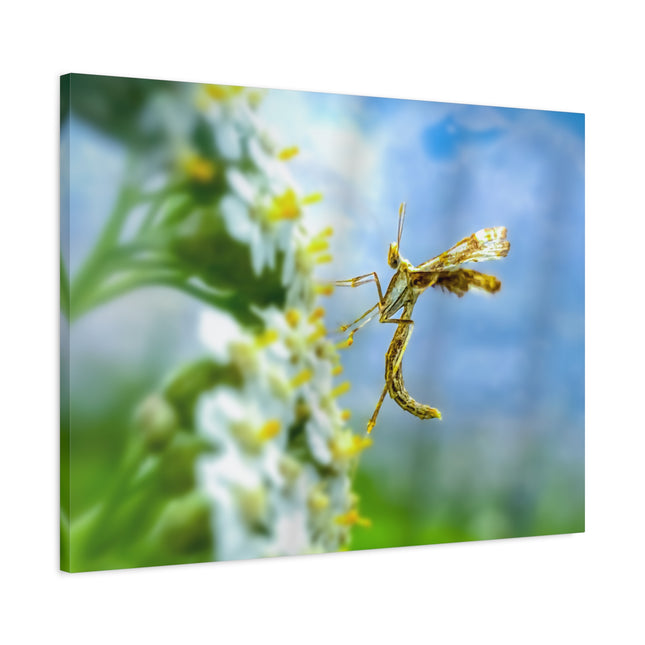Toile d'art sur les insectes : une décoration murale unique pour la maison 