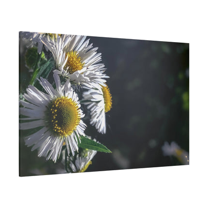 Décoration murale florale - Toile mate tendue avec motif marguerites