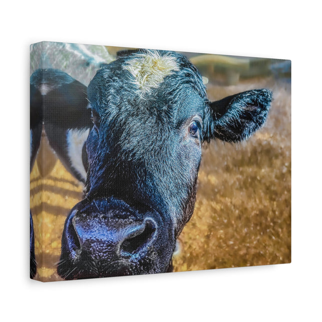 Toile murale - Portrait de vache réaliste 