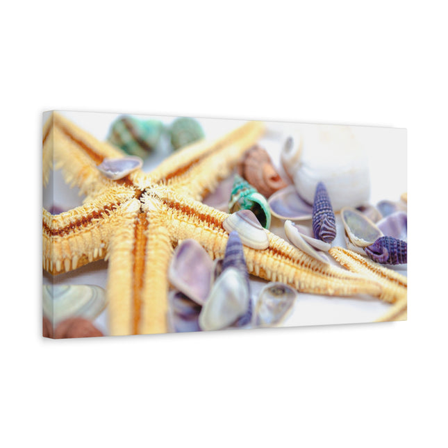Impression sur toile décorative côtière - Étoiles de mer et coquillages - Décoration murale de plage