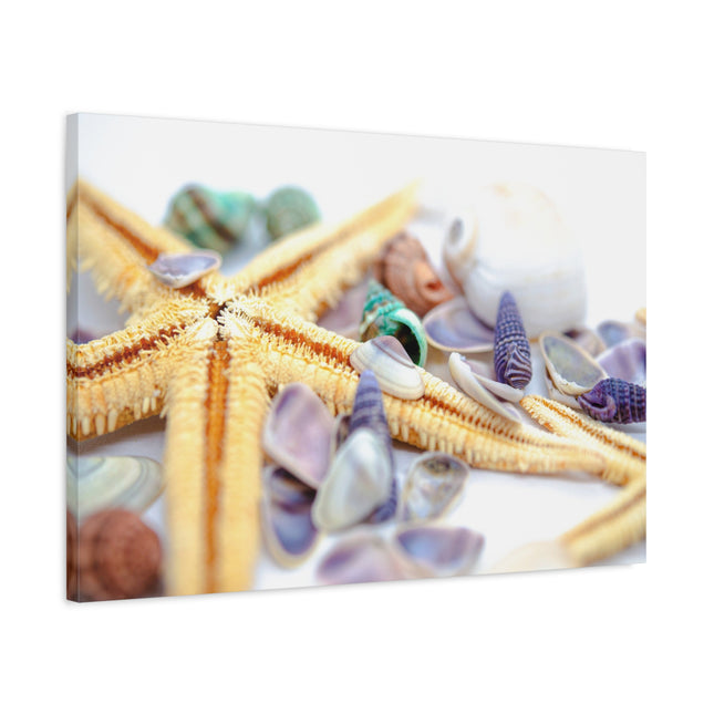Impression sur toile décorative côtière - Étoiles de mer et coquillages - Décoration murale de plage