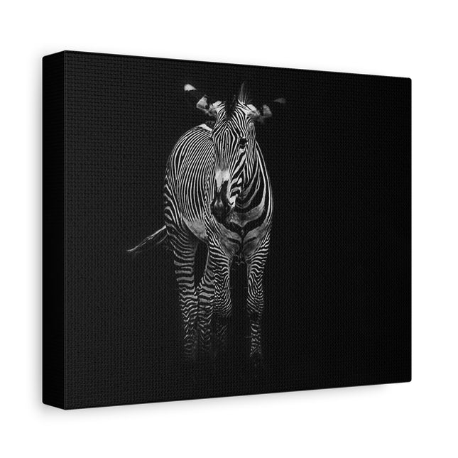 Toile murale zèbre | Décoration moderne en noir et blanc pour les amoureux des animaux