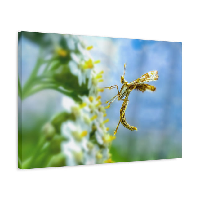 Toile d'art sur les insectes : une décoration murale unique pour la maison 