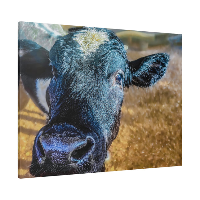 Toile murale - Portrait de vache réaliste 