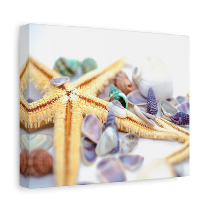 Coastal Decor Canvas Print - Starfish and Shells - Beach Wall Art