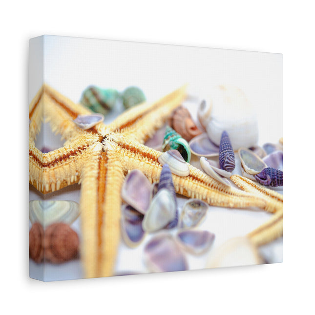 Impression sur toile décorative côtière - Étoiles de mer et coquillages - Décoration murale de plage
