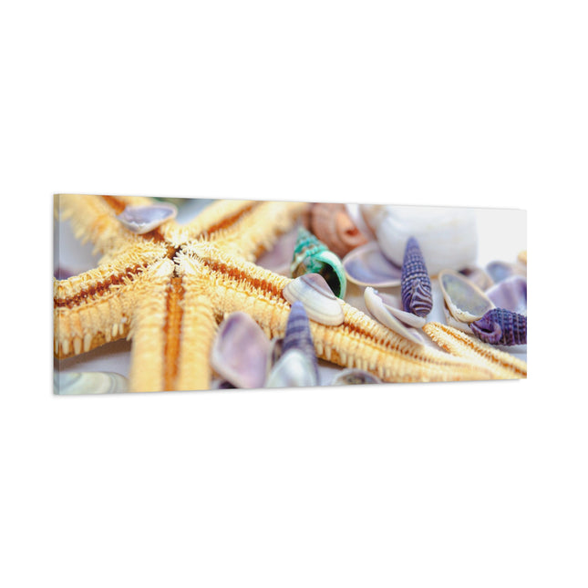 Impression sur toile décorative côtière - Étoiles de mer et coquillages - Décoration murale de plage