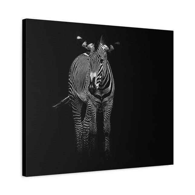 Toile murale zèbre | Décoration moderne en noir et blanc pour les amoureux des animaux