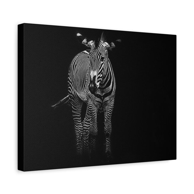 Toile murale zèbre | Décoration moderne en noir et blanc pour les amoureux des animaux