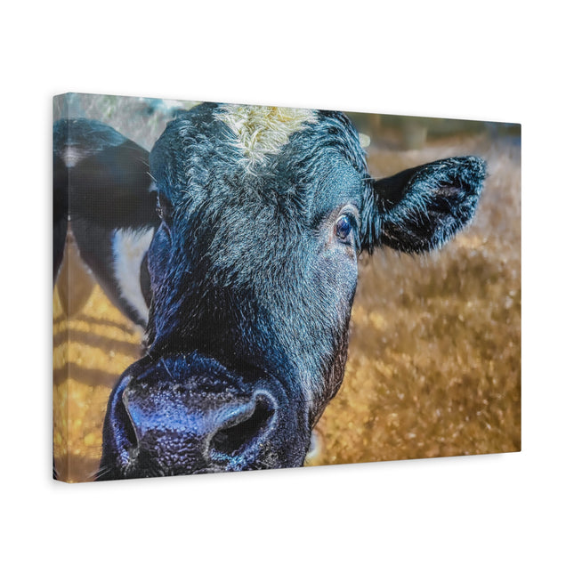 Toile murale - Portrait de vache réaliste 