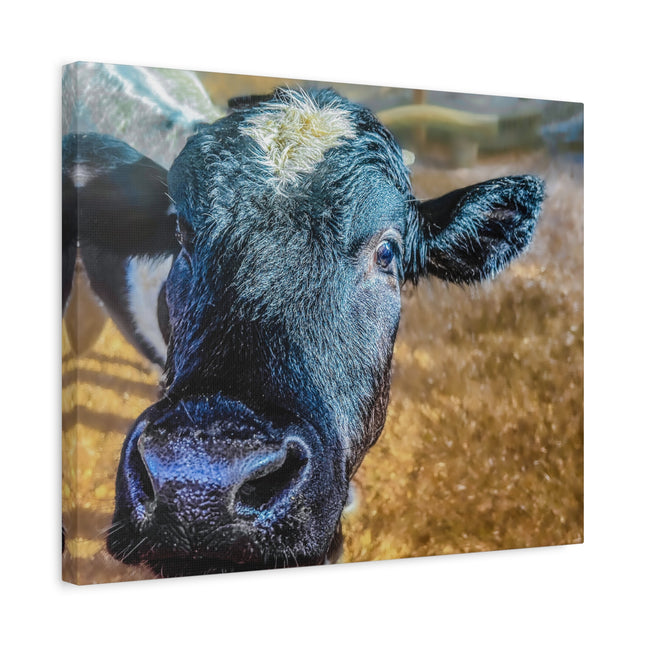 Toile murale - Portrait de vache réaliste 
