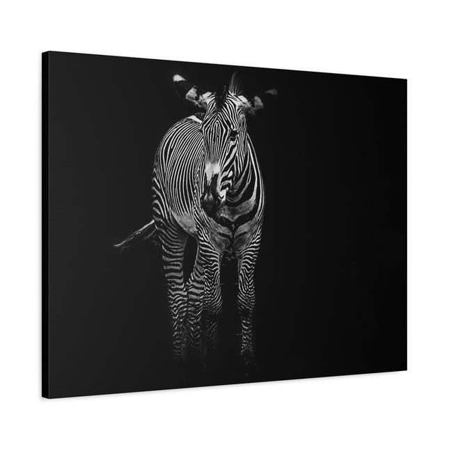 Toile murale zèbre | Décoration moderne en noir et blanc pour les amoureux des animaux