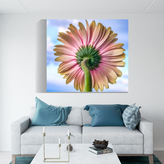 Décoration murale florale sur toile – Gerbera rose pour la maison et le bureau 