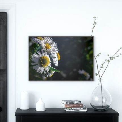Décoration murale florale - Toile mate tendue avec motif marguerites