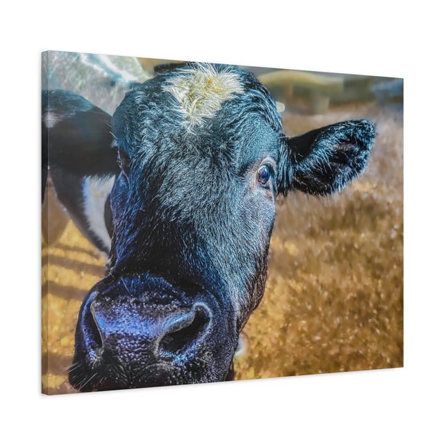 Toile murale - Portrait de vache réaliste 