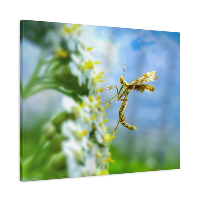 Toile d'art sur les insectes : une décoration murale unique pour la maison 