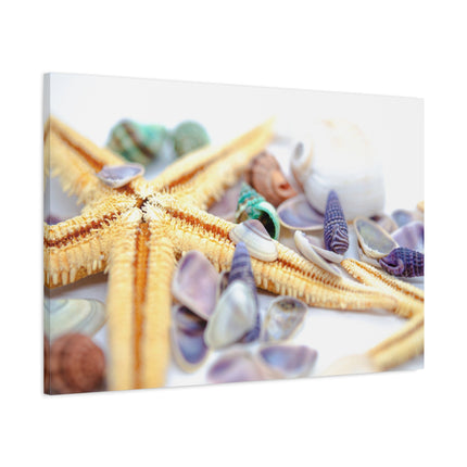 Coastal Decor Canvas Print - Starfish and Shells - Beach Wall Art