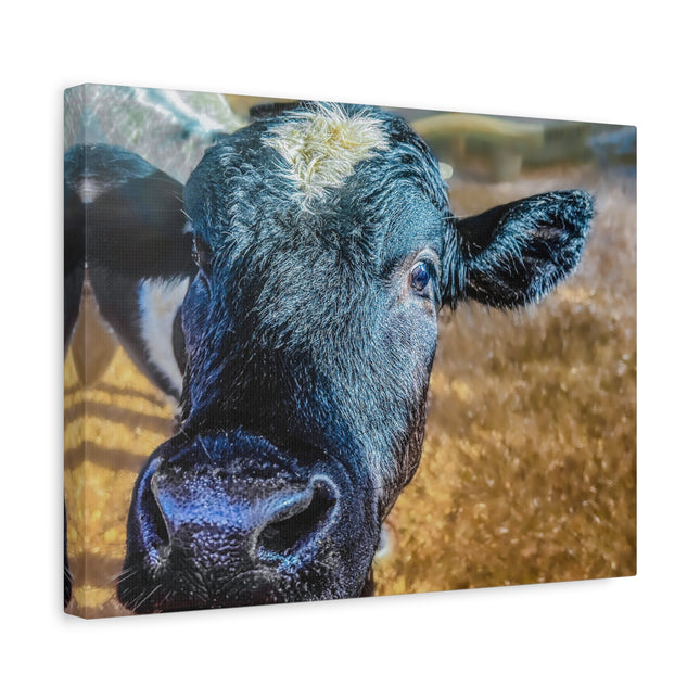 Toile murale - Portrait de vache réaliste 