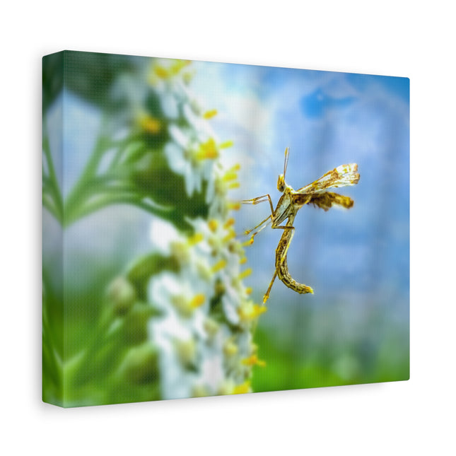 Toile d'art sur les insectes : une décoration murale unique pour la maison 