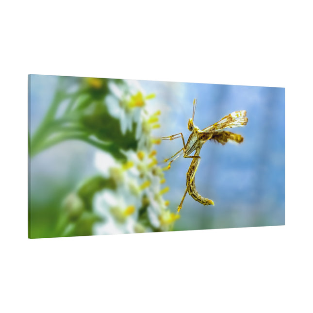 Toile d'art sur les insectes : une décoration murale unique pour la maison 