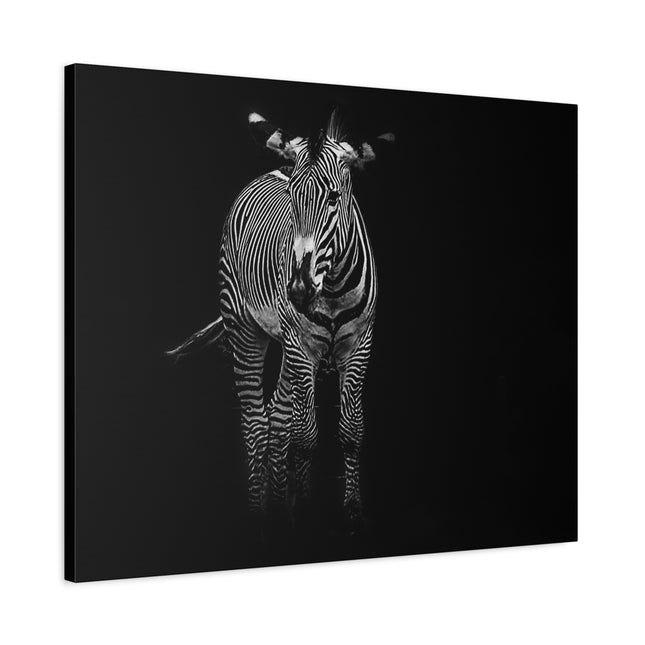 Toile murale zèbre | Décoration moderne en noir et blanc pour les amoureux des animaux