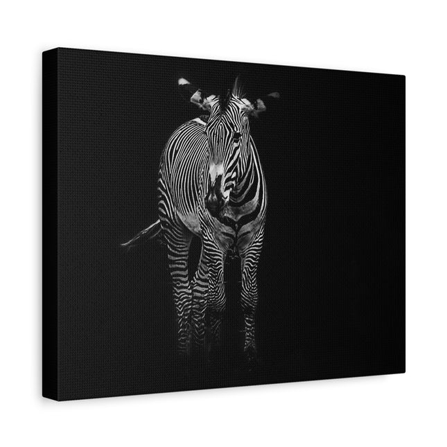Toile murale zèbre | Décoration moderne en noir et blanc pour les amoureux des animaux