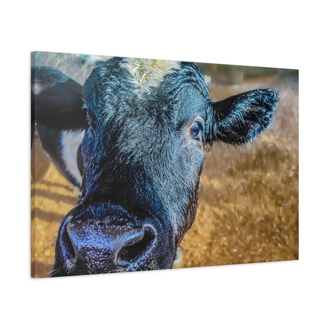 Toile murale - Portrait de vache réaliste 