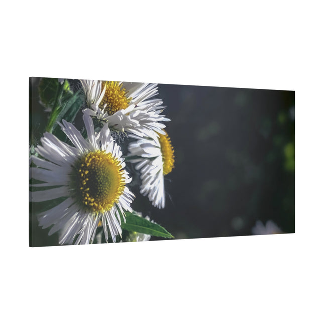 Décoration murale florale - Toile mate tendue avec motif marguerites
