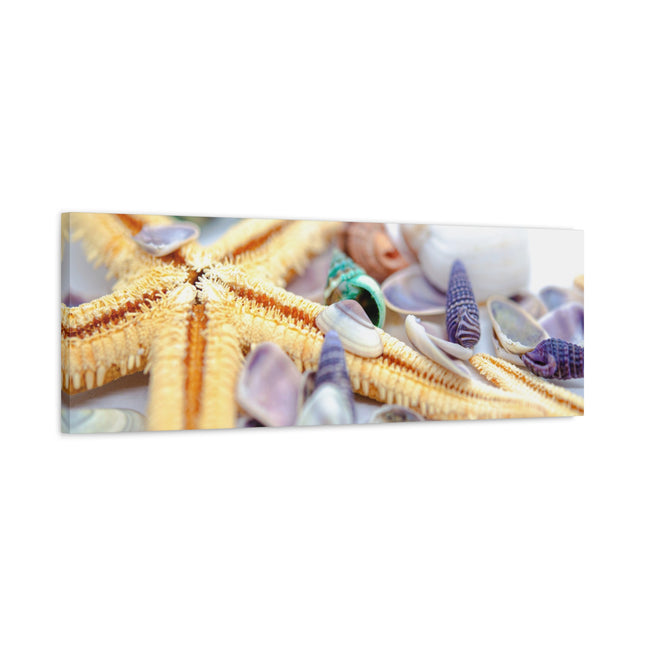 Impression sur toile décorative côtière - Étoiles de mer et coquillages - Décoration murale de plage