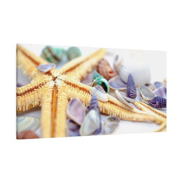 Impression sur toile décorative côtière - Étoiles de mer et coquillages - Décoration murale de plage