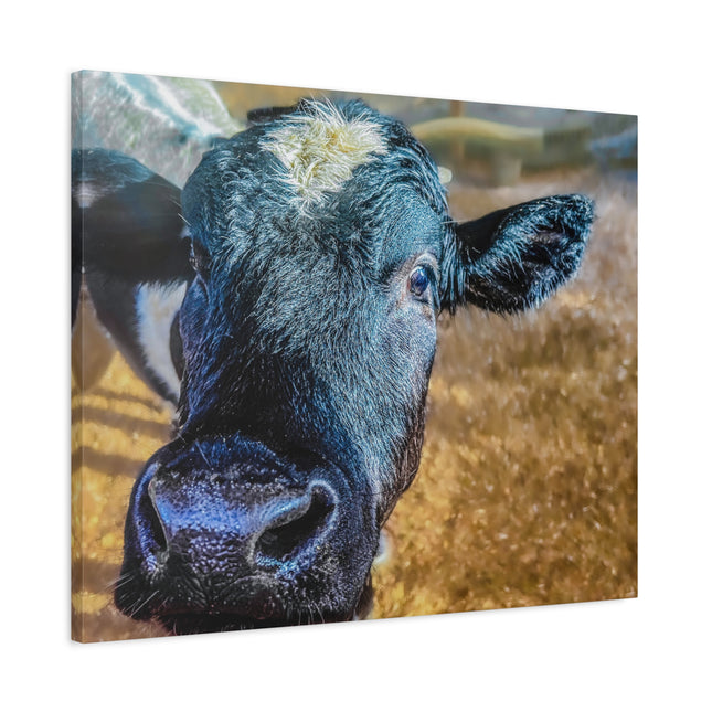 Toile murale - Portrait de vache réaliste 