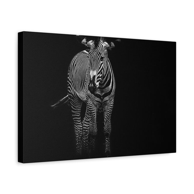 Toile murale zèbre | Décoration moderne en noir et blanc pour les amoureux des animaux
