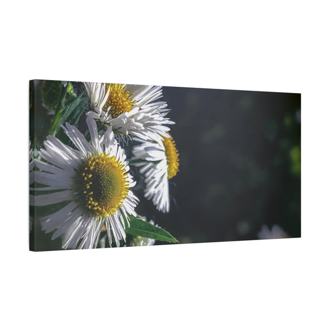 Décoration murale florale - Toile mate tendue avec motif marguerites