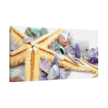 Coastal Decor Canvas Print - Starfish and Shells - Beach Wall Art