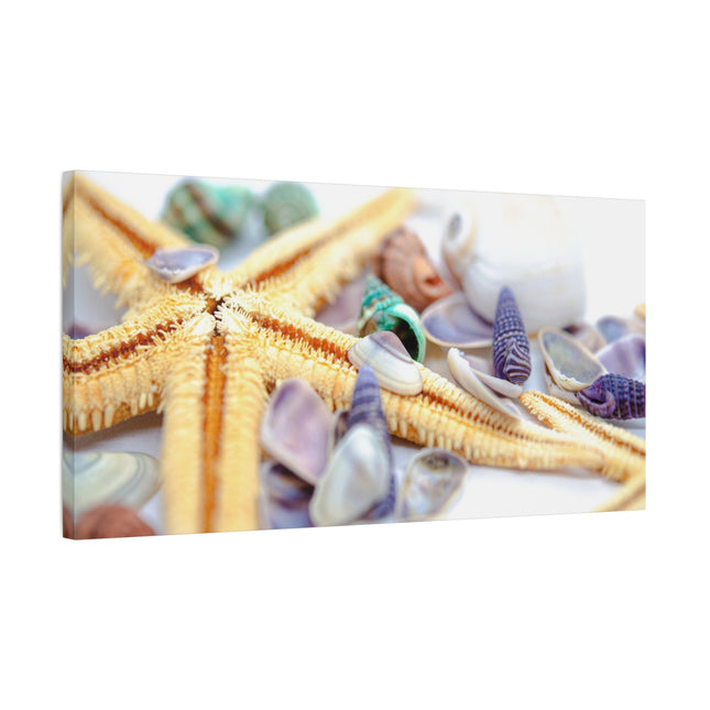 Impression sur toile décorative côtière - Étoiles de mer et coquillages - Décoration murale de plage