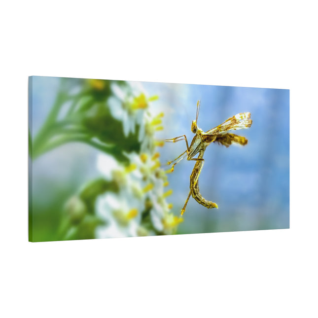 Toile d'art sur les insectes : une décoration murale unique pour la maison 