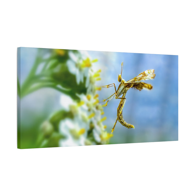 Toile d'art sur les insectes : une décoration murale unique pour la maison 